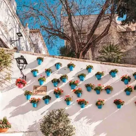 Urban Place In Close To With Pool And Garage