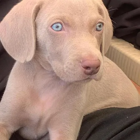 شقة Urban Place In Close To With Pool And Garage *